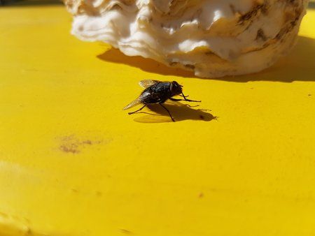 20160620_093245.jpg