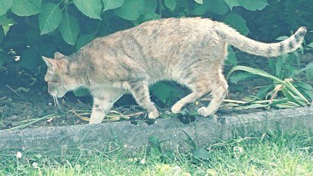 20160618_145415_Film3.jpg