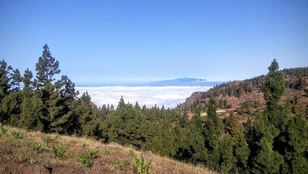 20160622_091942.jpg