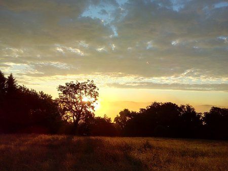 IMG_20160623_053629_1.jpg