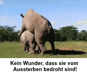 2scv8BbWxj54.gif