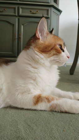20160623_190404.jpg