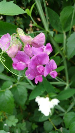 20160625_081532.jpg