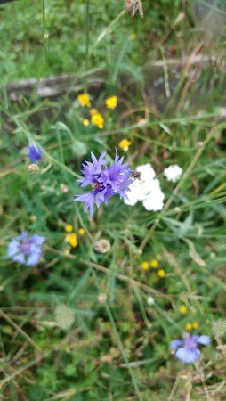 20160625_081727.jpg