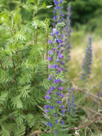 IMG_20160619_163117.jpg