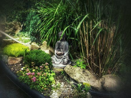 20160626_163850-01.jpeg
