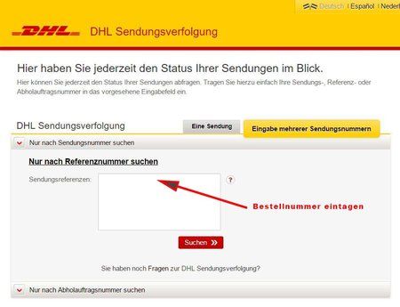 DHL-4.jpg