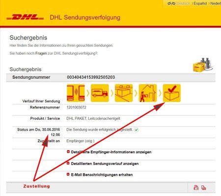 DHL-5.jpg