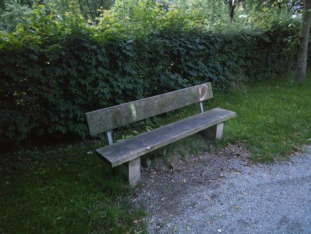 IMG_20160628_220350.jpg