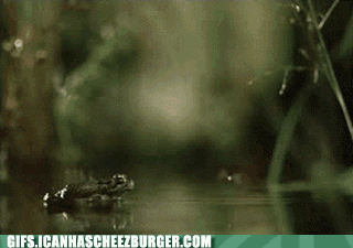 1d441b08fb.gif