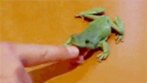 ezgif-931017126.gif