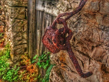 PIC_20160619_121706.jpeg