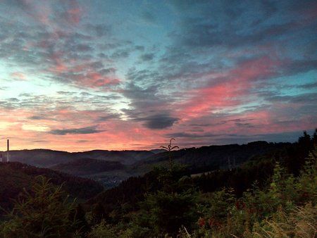 IMG_20160703_051116_1.jpg