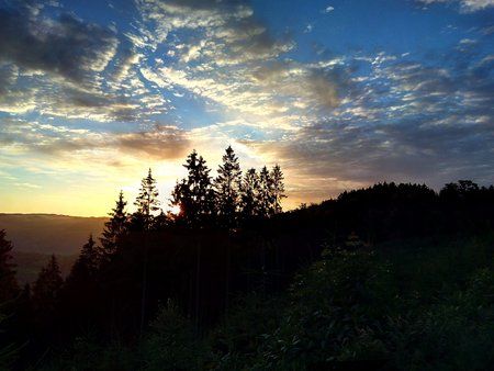 IMG_20160703_054228_1.jpg