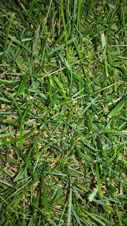 tmp_22820-IMG_20160704_212155-420803521.jpg
