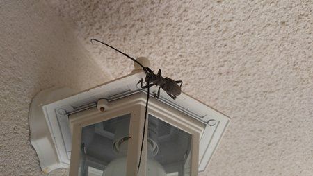 20160704_110830.jpg