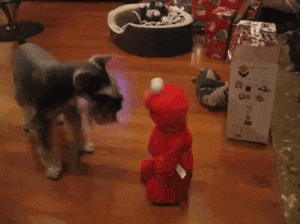 ezgif-1112298273.gif
