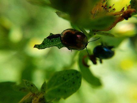 IMG-20160707-WA0001-01.jpeg