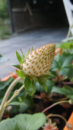 20160708_074003.jpg