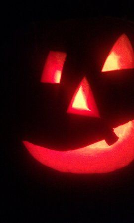 IMG_20111031_173640.jpg
