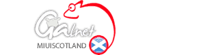sitelogo.png