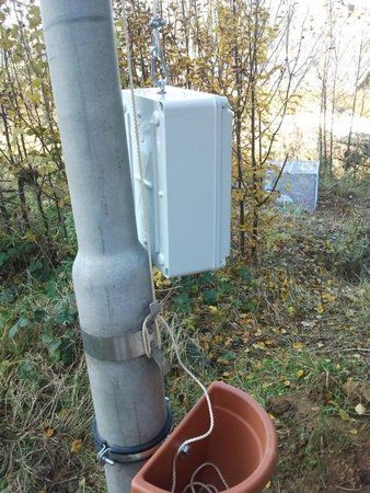 mast2.jpg