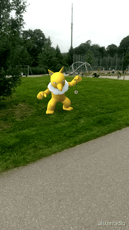 IMG_2016-07-09-18255243.png