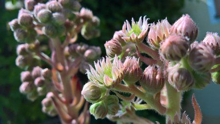 WP_20160710_15_19_35_Rich.jpg