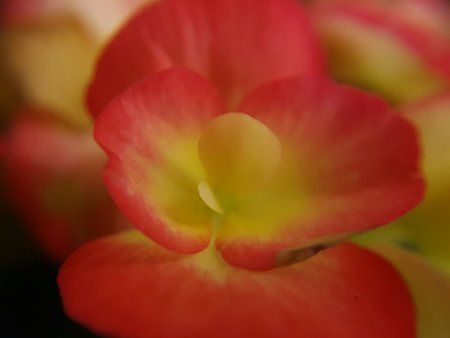 IMG-20160713-WA0000.jpg