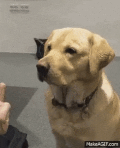 ezgif-2369223884.gif