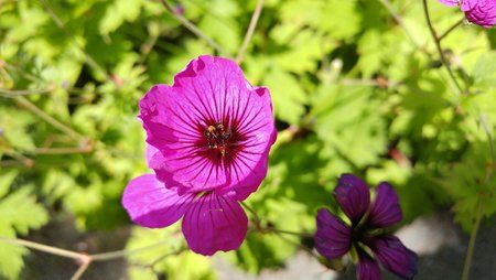 20160707_130630.jpg