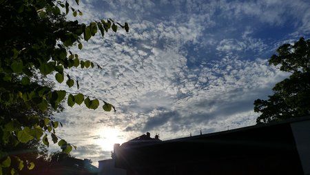 20160707_193921_HDR.jpg