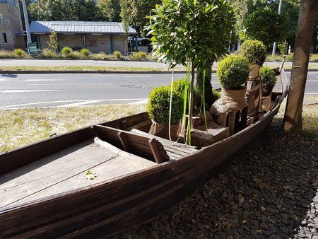 20160717_101026.jpg