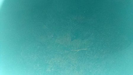 IMG-20160716-WA0003.jpg