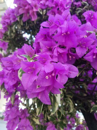 20160720_161649.jpg