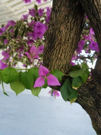 20160720_161802.jpg