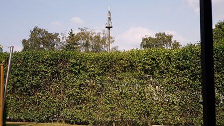 20160721_165345.jpg