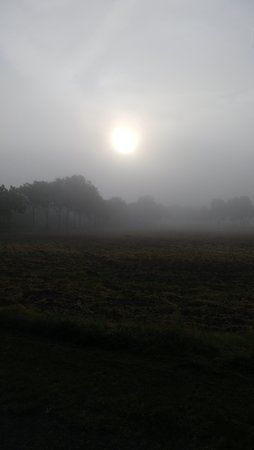 tmp_19116-20160722_071547640906090.jpg