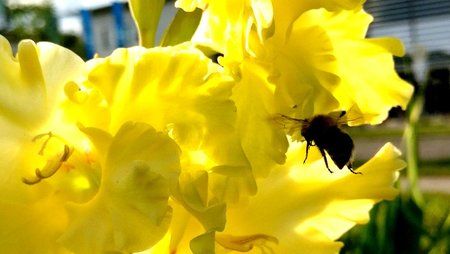 IMG_20160724_185547_01.jpg