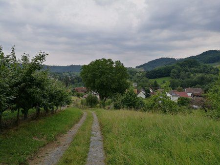 IMG_20160722_185809.jpg
