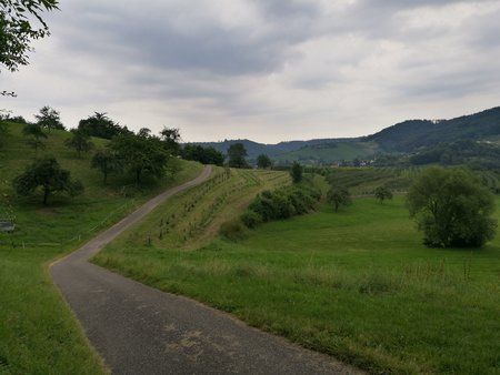 IMG_20160722_191612.jpg