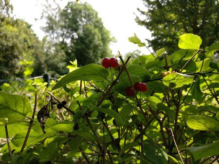 IMG_20160727_114513.jpg