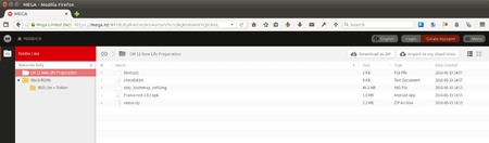 MEGA - Mozilla Firefox_006.png