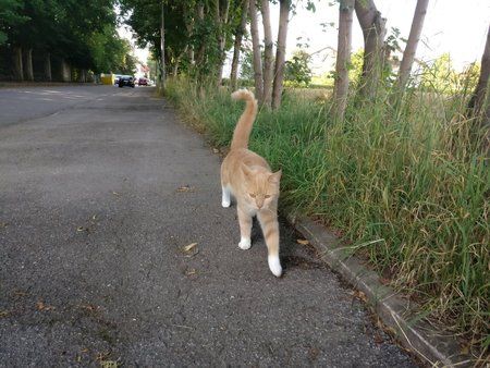 IMG_20160724_183108_01.jpg
