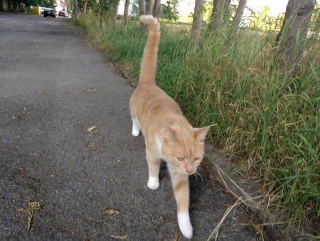 IMG_20160724_183109.jpg