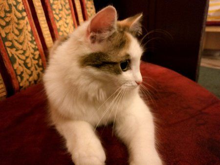 IMG_20160713_212253.jpg