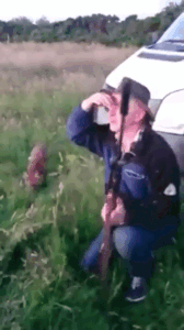 ezgif-3846592843.gif