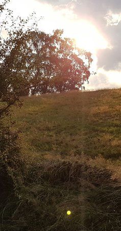 20160802_220251.jpg