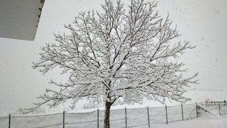 Emir-Mirovic---Nokia-808-Pure-View.jpg