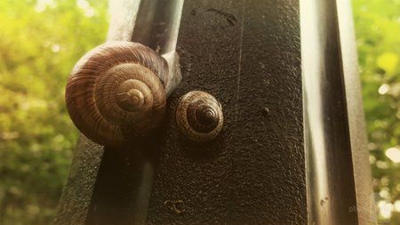 Pawel-Adamski---Samsung-Galaxy-S6.jpg